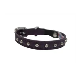 Angel Leather Cat Collar Studded 10"