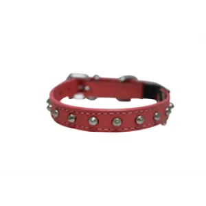 Angel Leather Cat Collar Studded 10"