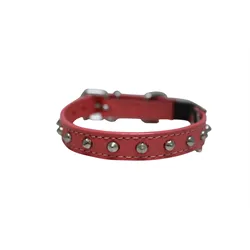 Angel Leather Cat Collar Studded 10"