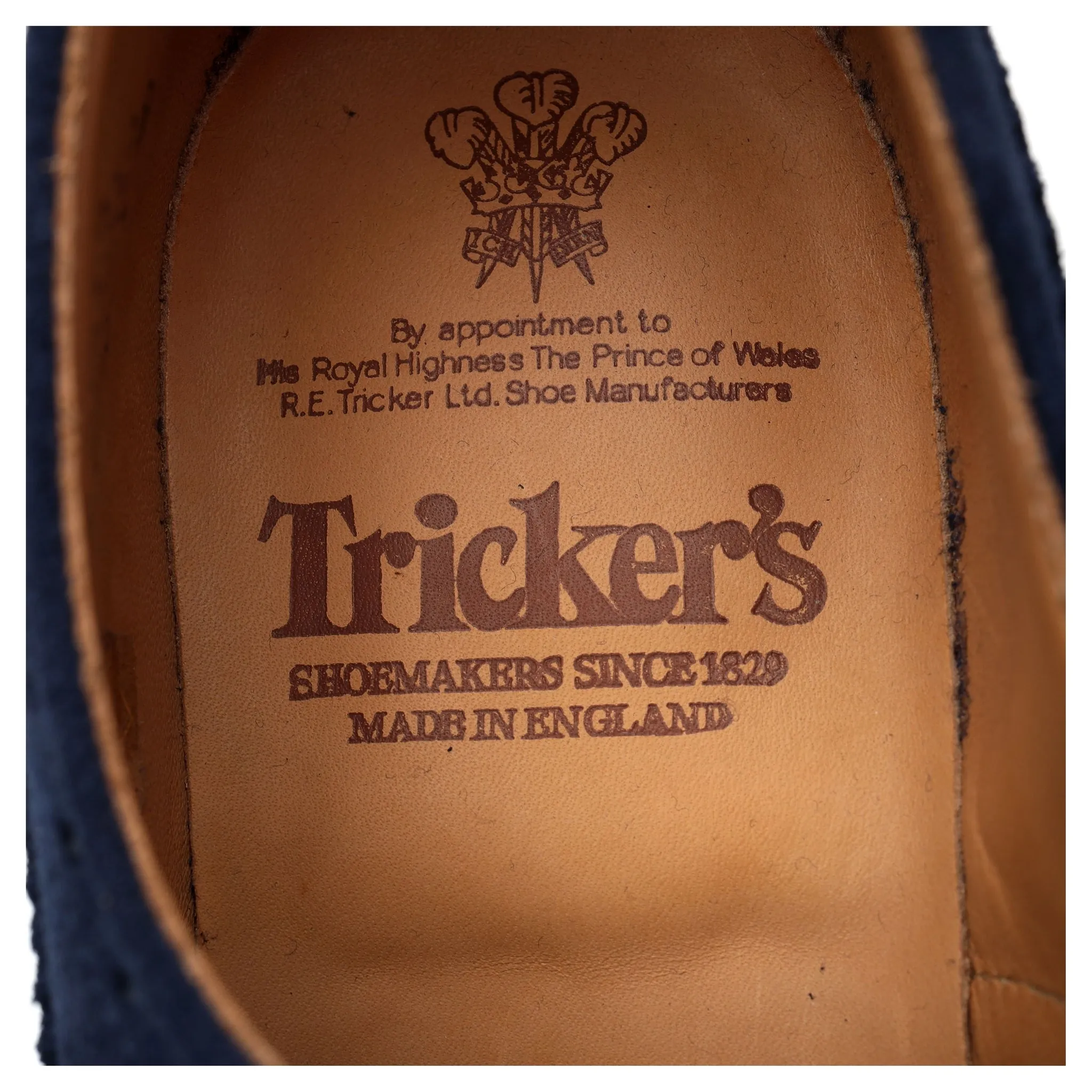 'Bourton' Navy Blue Suede Derby Brogues UK 8.5