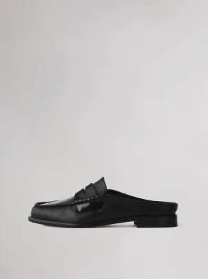 Carter Mule