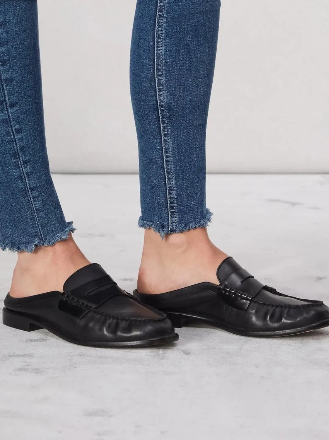 Carter Mule