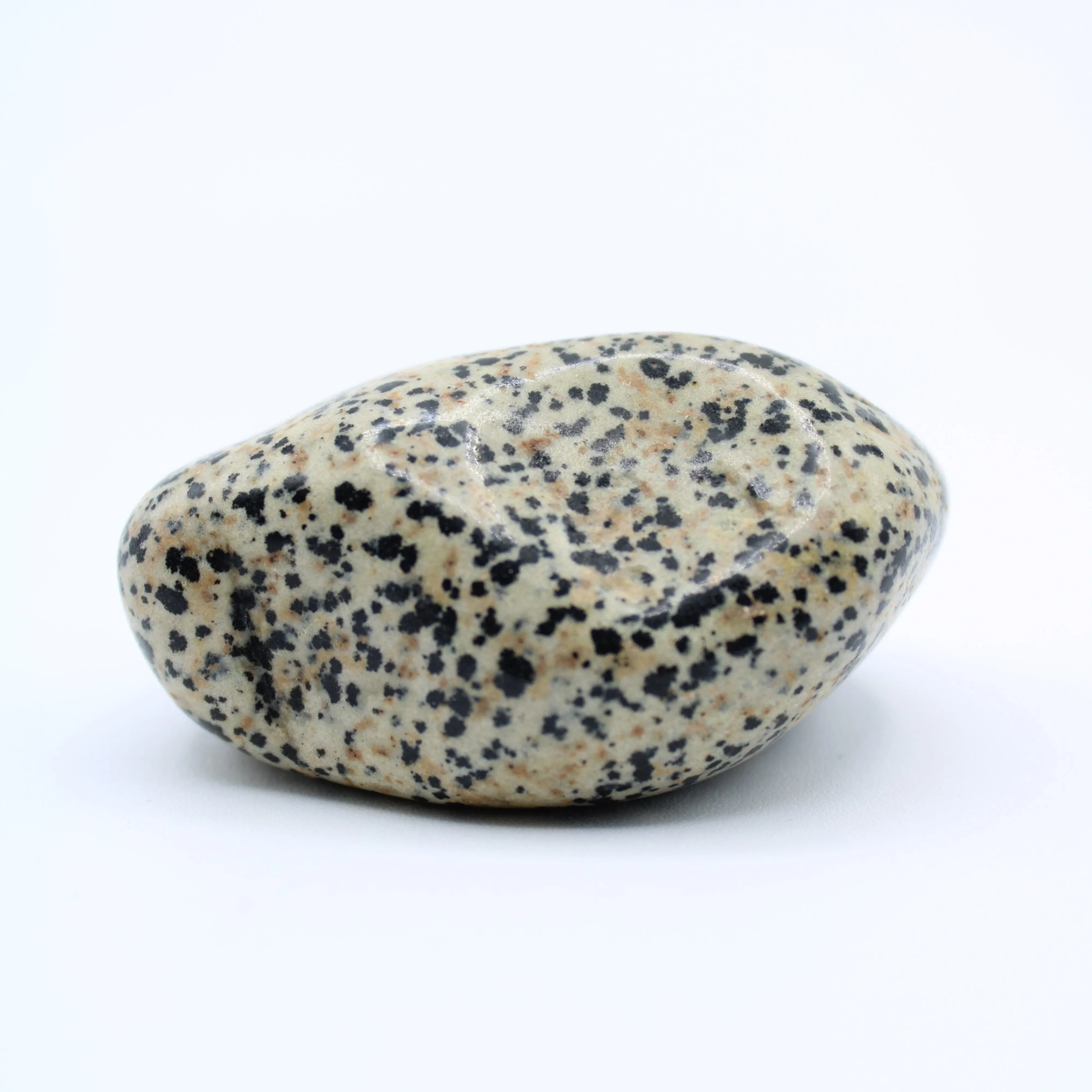 Dalmatian Jasper Free-Form