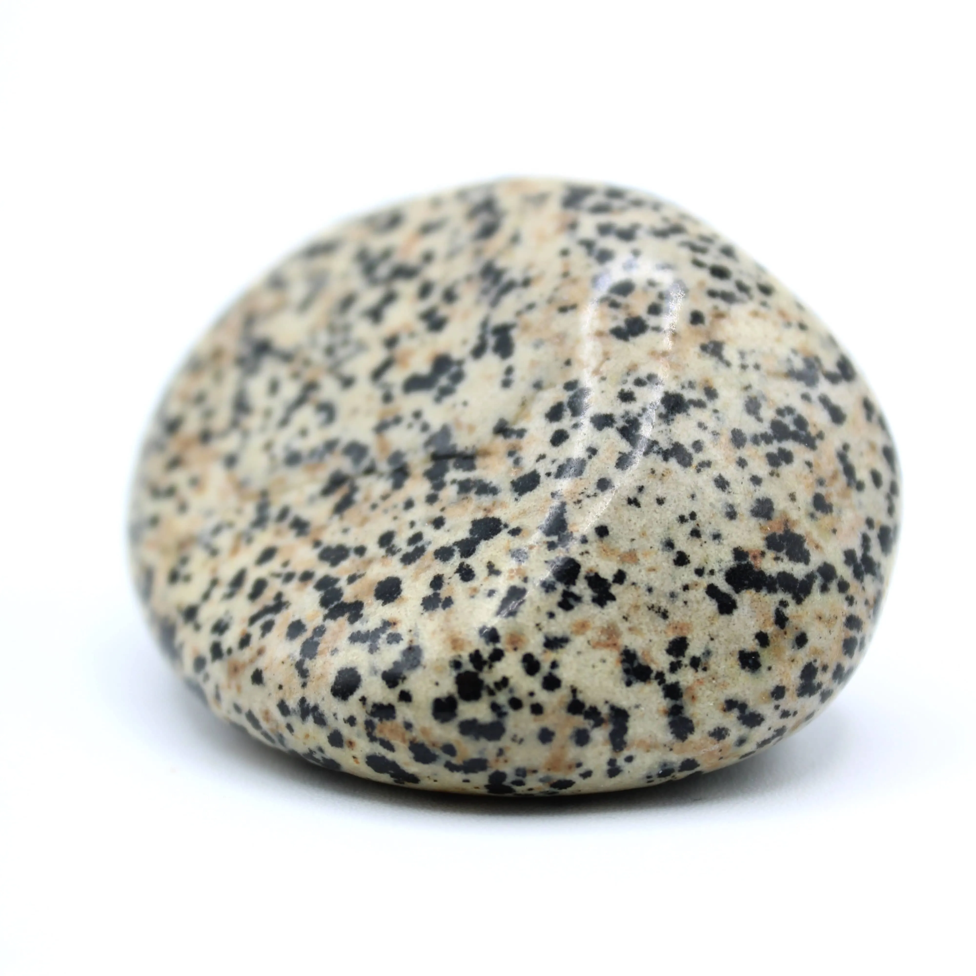 Dalmatian Jasper Free-Form