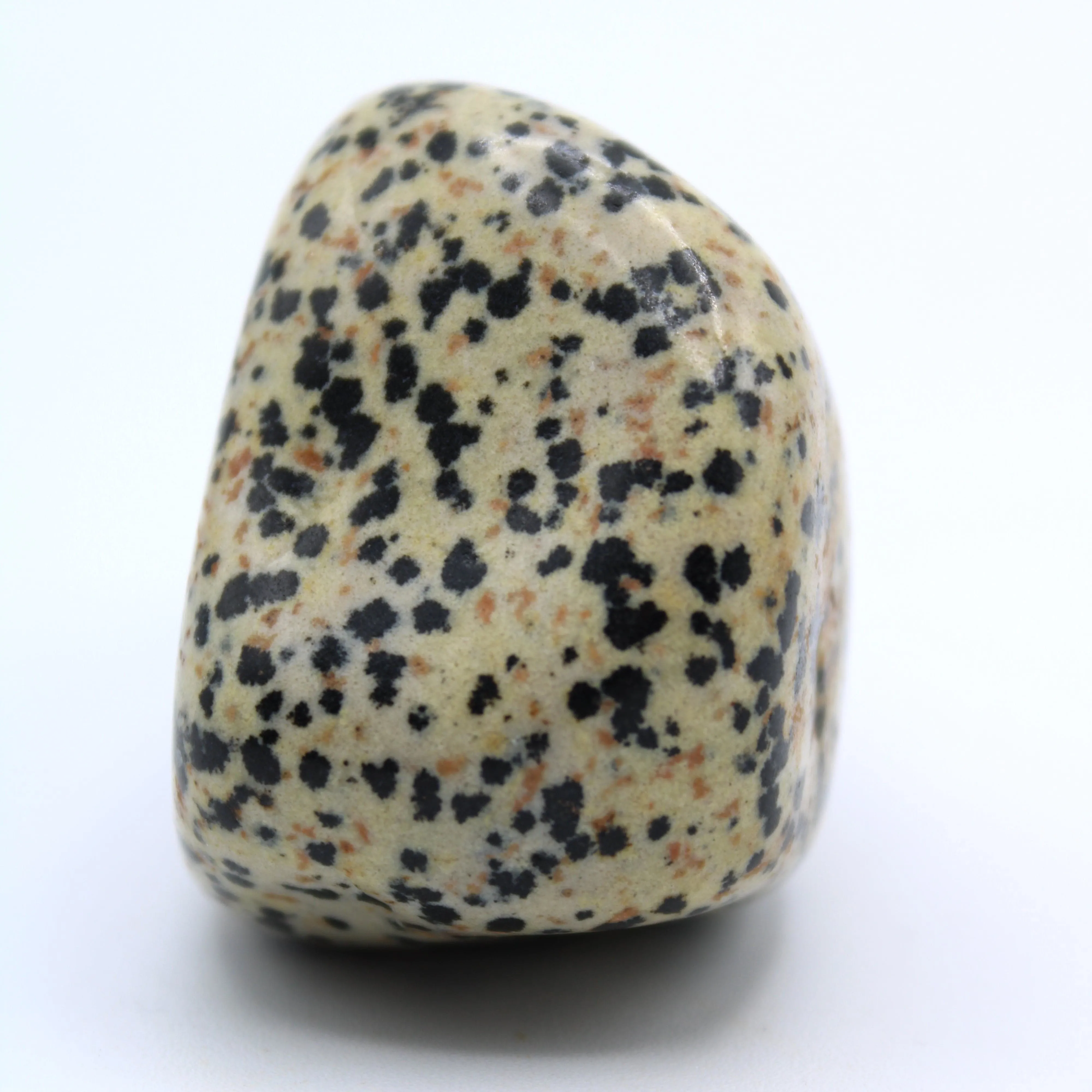 Dalmatian Jasper Free-Form