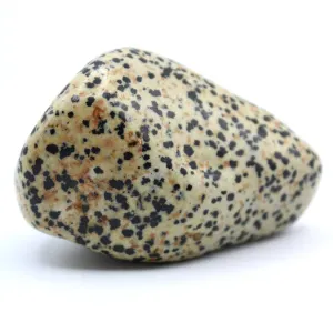 Dalmatian Jasper Free-Form