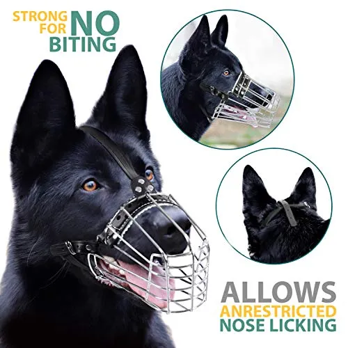 Dog Chrome Metal Muzzles Wire Basket Adjustable Leather Straps German Shepherd Reinforced (№1) Snout Circumference is 11. - 12.6 in Length is 4.3-4.7 in