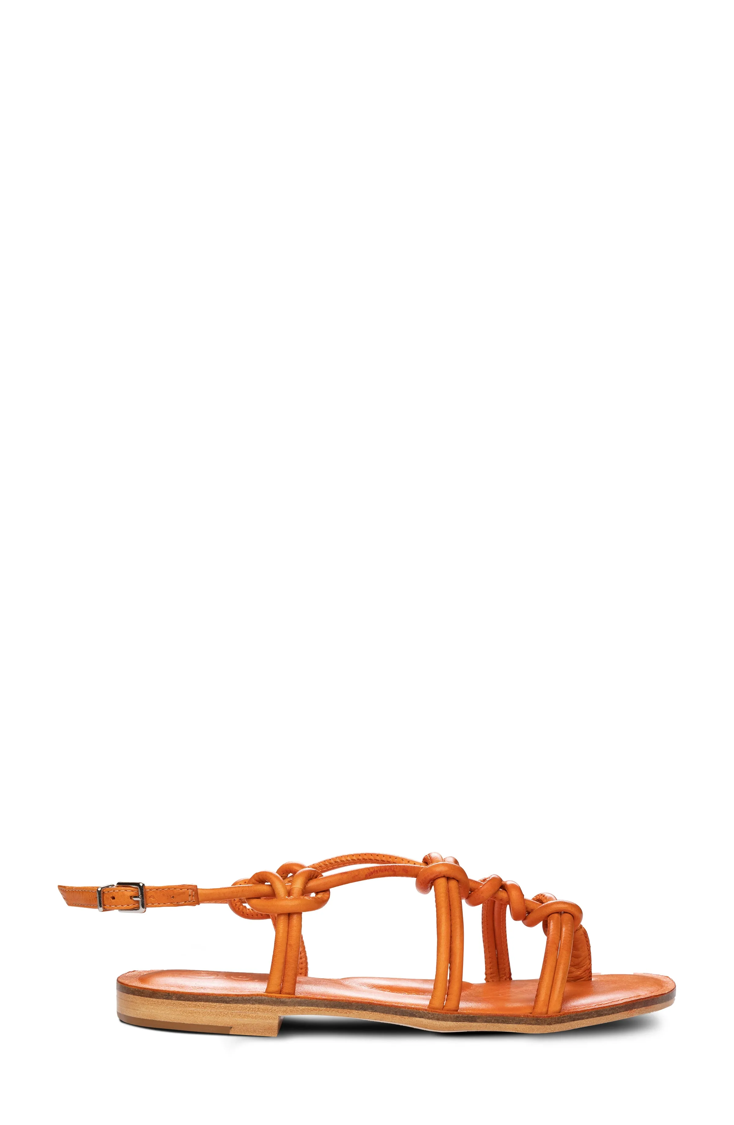 Forget Me Knot