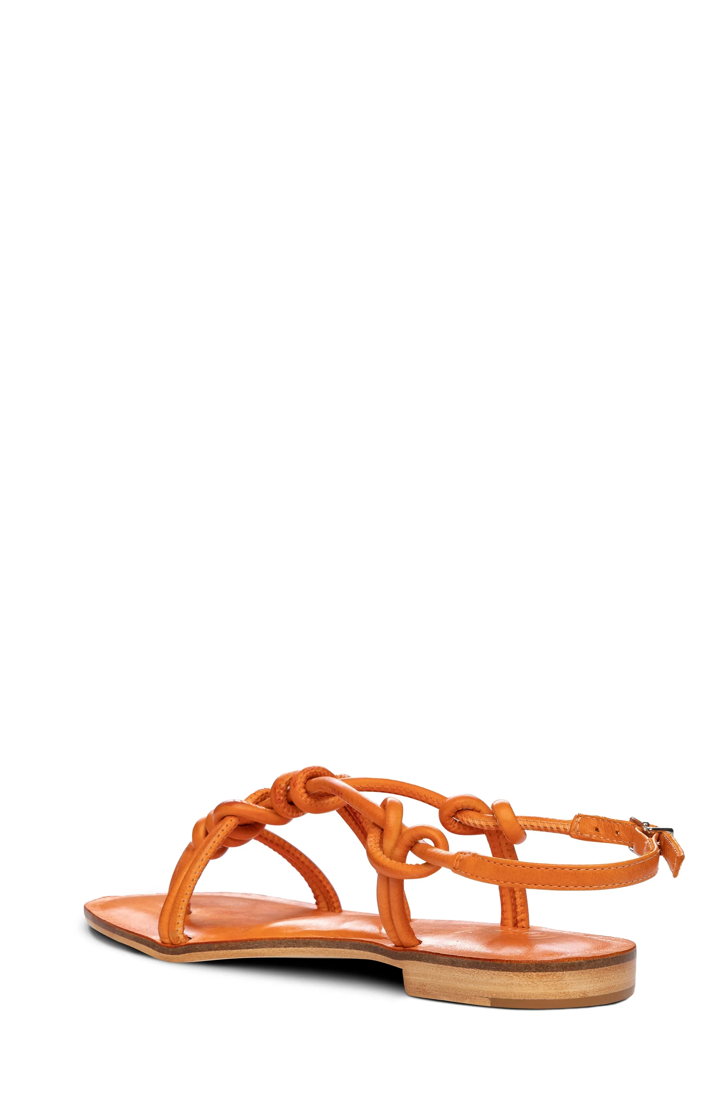 Forget Me Knot