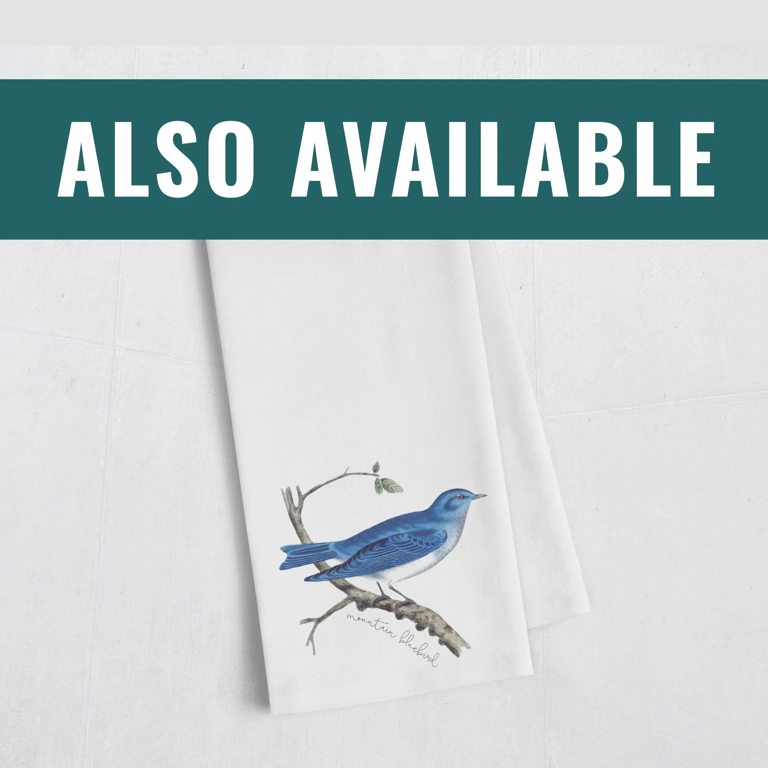 Northern Mockingbird Wall Art Print | Mississippi Bird Decor | Framed Mockingbird Artwork | Gift for Bird Lovers