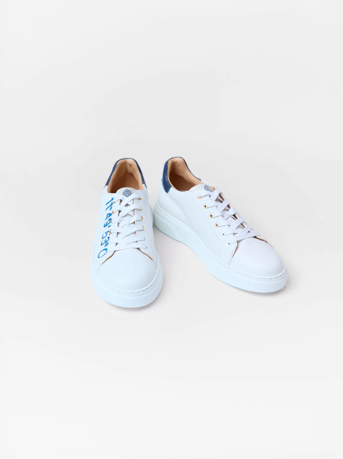 Petra Coordinates Weiss-Blau