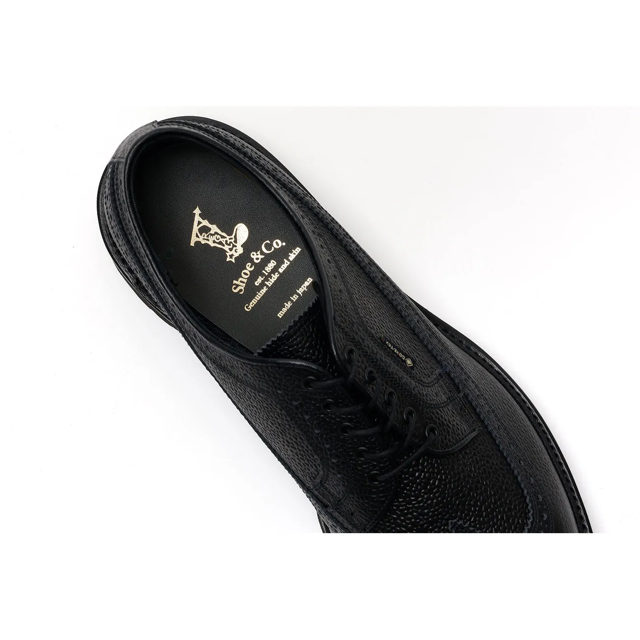 Wing-Tip GTX_Black