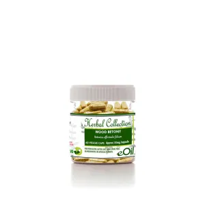 Wood betony - 60 capsules - Herbal Collection